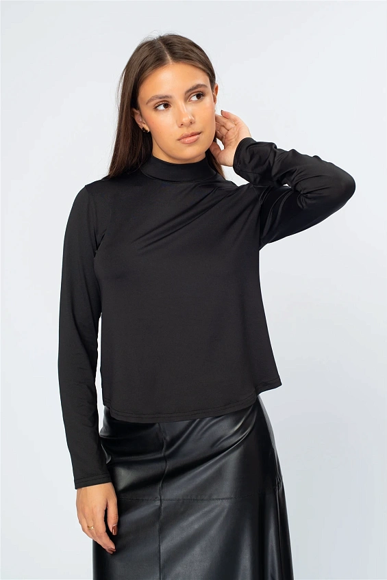 Водолазка женская 5091.M оптом от производителя Ledinika