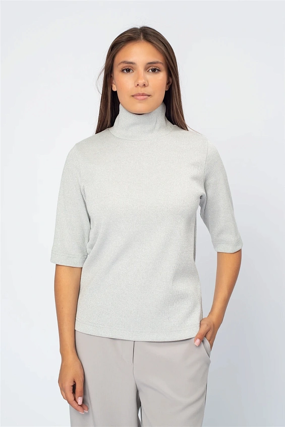 Водолазка женская 4070.LR оптом от производителя Ledinika